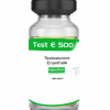 Test E 500mg | Workout Supps, Strength, Sexual Desire – Sky Pharma